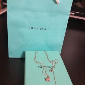 Tiffany and co star necklace.
